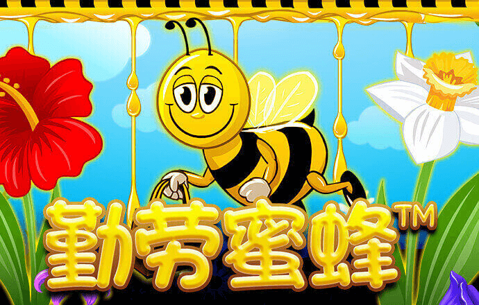 港澳宝典最新版11133下载